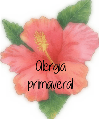 30729210_2013532215526112_3483048198782582784_n